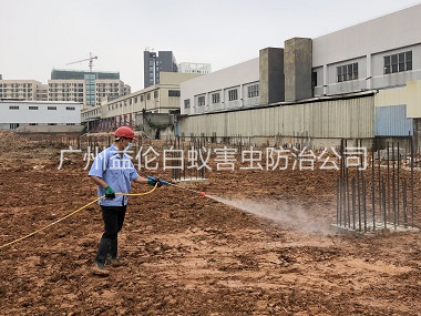 大岗新建白蚁预防工程