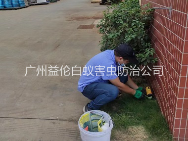 万顷沙布放灭鼠屋工程