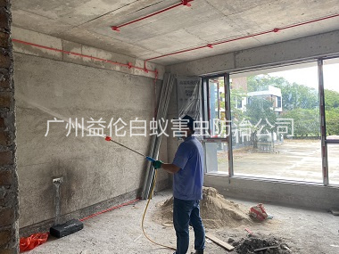 榄核装修白蚁预防工程