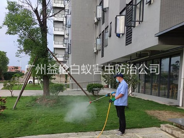 黄阁小区杀灭蚊蝇工程
