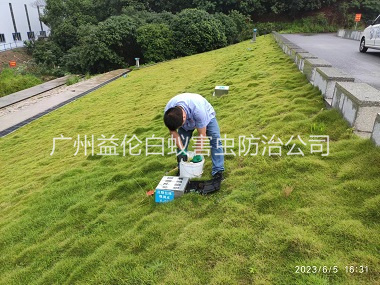 横沥水利堤坝鼠害防控工程
