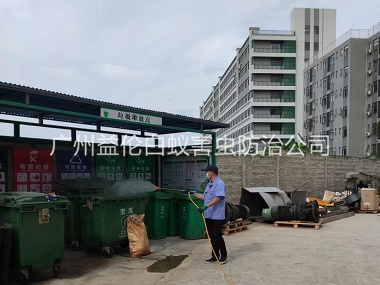 榄核蚊蝇孳生地消杀工程