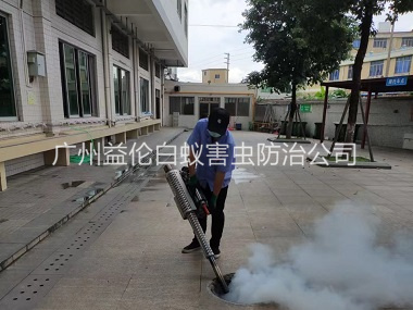 黄阁下水道治蚊虫工程