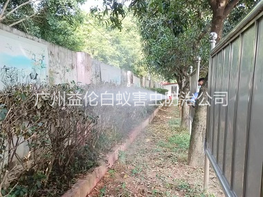 榄核绿化带蚊蝇防治工程