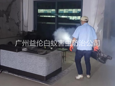 黄阁室内灭蚊虫工程