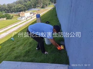 大岗堤坝鼠害防治工程