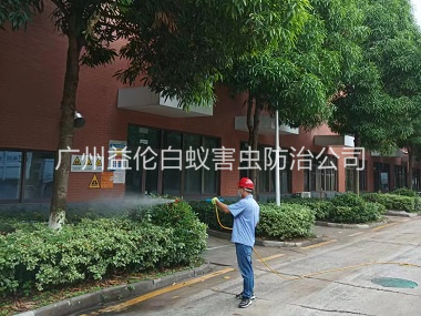 大岗住宅小区蚊虫防控工程