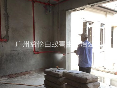 横沥装修预防白蚁工程