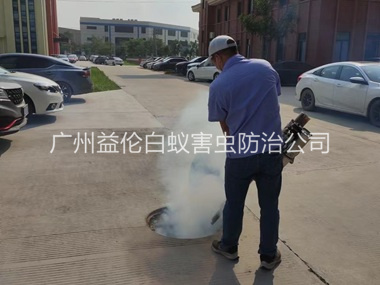 南沙登革热防控消杀工程