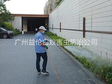 黄阁企业园区消杀蚊蝇工程
