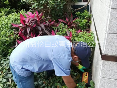 万顷沙住宅环境灭鼠工程