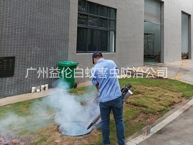 榄核厂区杀蟑螂蚊蝇工程