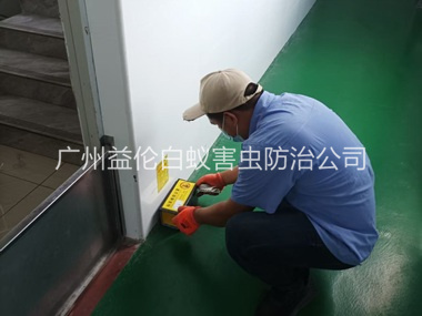 东涌工厂车间室内布置粘鼠板工程