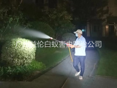 榄核镇绿化除蚊虫工程