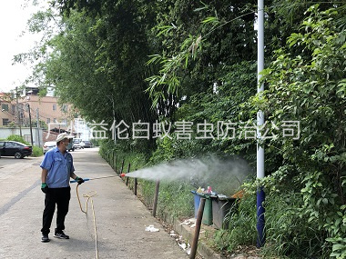 广州登革热防控消杀工程