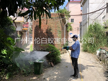 万顷沙灭蚊预防“两热”工程